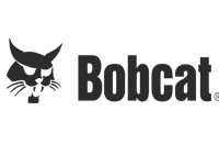 Bobcat